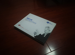 汽車(chē)貼膜精品畫(huà)冊