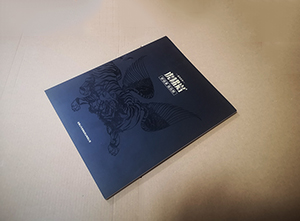 宣傳冊/畫(huà)冊